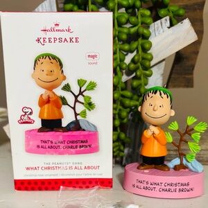 NIB 2013 TALKING  “What Christmas is all about Charlie Brown”